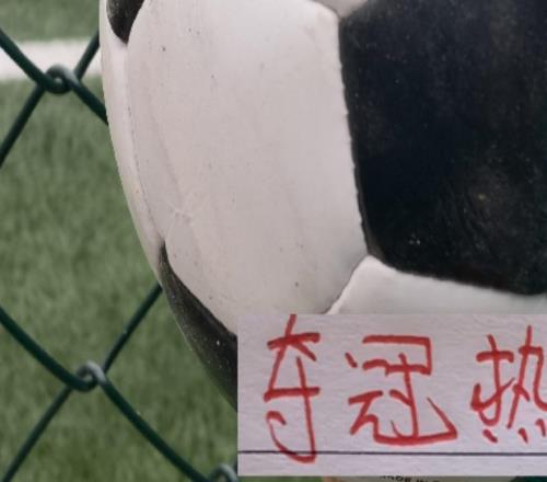 申花不扣分也是奪冠熱門今年奪冠球隊(duì)?wèi)?yīng)是澳波系四大球隊(duì)