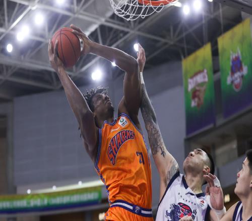 上海VS青島全力橫掃！四大內線圍剿米奇，盧偉沖7連勝，CCTV5直播