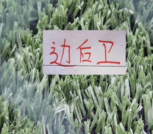 三輪下來中超豪門帶刀屬性邊后衛楊希算是申花馬納法外援作用嗎