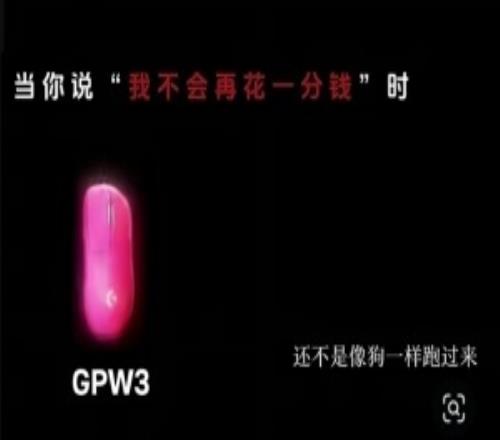 感覺自己很幽默羅技發(fā)廣告稱“一降價(jià)你像狗一樣跑來(lái)”隨后官方致歉