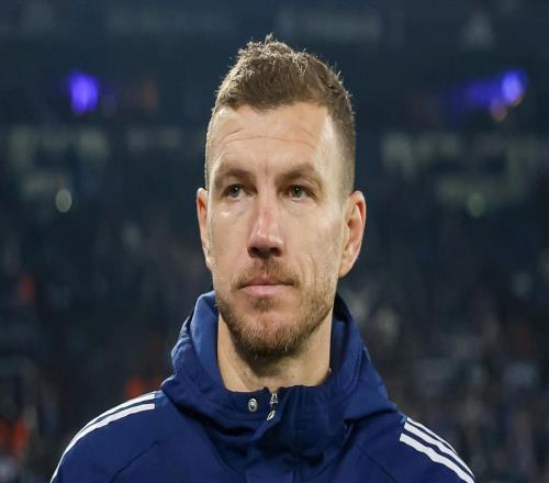 沙爾克官方：哲科在世預賽中肩膀受傷，將缺席對卡爾斯魯厄比賽