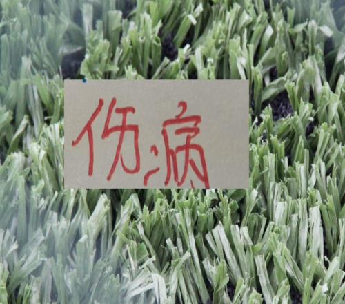 大面積傷??！三輪不勝！連吃裁判虧北京國(guó)安唯一優(yōu)勢(shì)就是主場(chǎng)