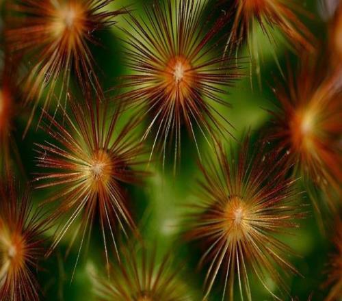 德澤爾比：愛哭的球員直接回家