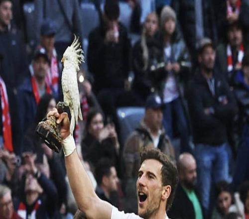 格雷茨卡：和其他頂級球隊相比，拜仁是個更有家庭氛圍的團隊