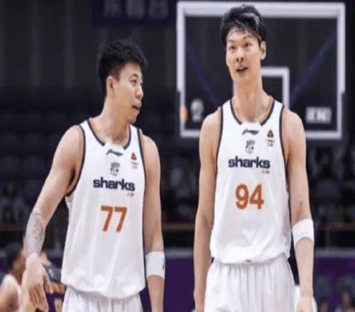 CBA最新動(dòng)態(tài)！遼寧隊(duì)VS上海隊(duì)，賽前帶來(lái)遼寧男籃趙繼偉、哈維、烏戈和上海男籃張鎮(zhèn)麟最新消息