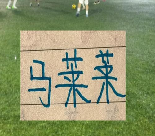 前6輪！進球能破雙數的5球隊前申花外援馬萊萊100場進48球不差