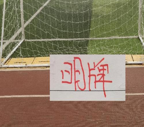 這是底氣！申花主帥賽前直接明牌臨時換裁判能擋住追趕步伐嗎