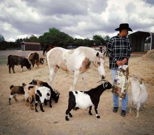 給文班剃頭的馬刺DJ，成為NBA最佳第六人