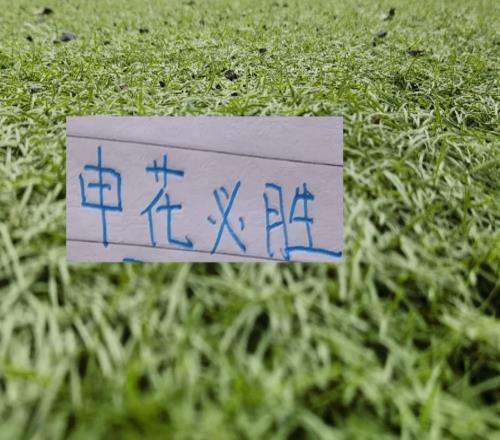 第8轮中超未扣分纯净版！可能才是申花球迷最想要积分榜