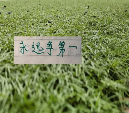 沒料到！今年北京國安最能跑的球員是塞鳥5月球隊逆襲還得靠他