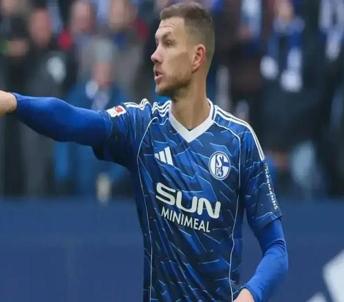 沙尔克旧将：俱乐部应和哲科续约，他肯定能在德甲帮助球队