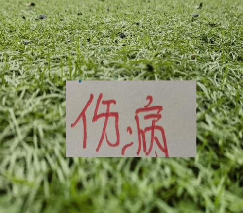 中超第11輪！上海雙雄都有2個(gè)外援肯定上不了場