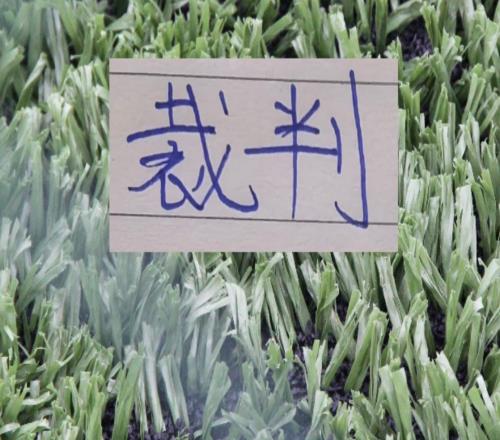 這么多輪下來！執(zhí)法北京國安比賽的裁判第12輪主裁是李海新
