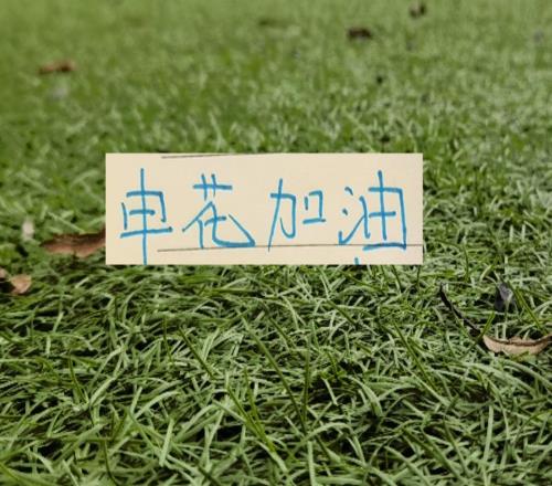 蘇亞雷斯來了！保級大戰(zhàn)也只能作壁上觀申花能否報一箭之仇嗎