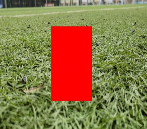還以為北京國安申訴成都2紅夠多沒想領頭羊更多直接申訴4張直紅