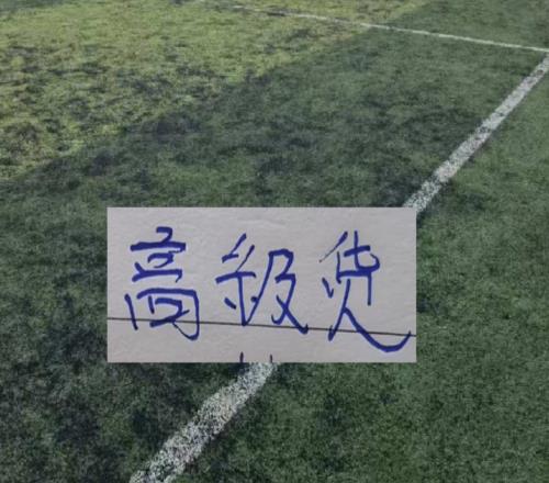 中超前15輪各隊代表球星！大連馬萊萊打出身價