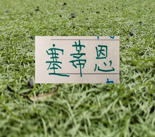 反差大！北京國安從去年的一方諸侯爭霸16輪不敗