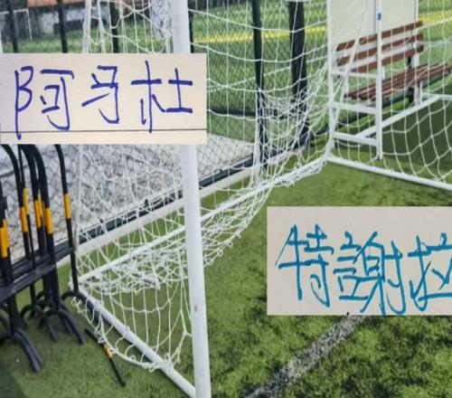 申花10号+重庆10号阿马杜的含金量在提升
