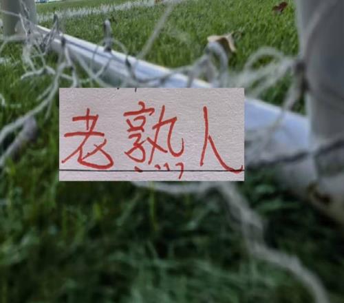 六月赛程！三大豪门再见老相识申花遇马莱莱