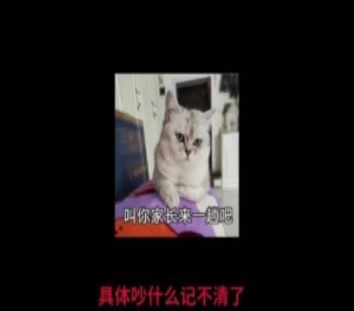 shanji自述职业故事:一个网吧赛,把我送进了电竞圈