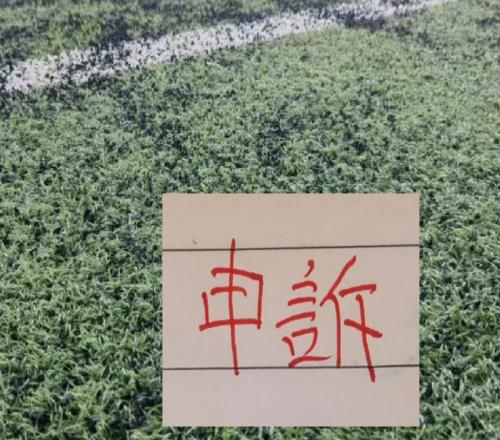 还申诉吗北京国安又有争议点球之前山东申诉成功