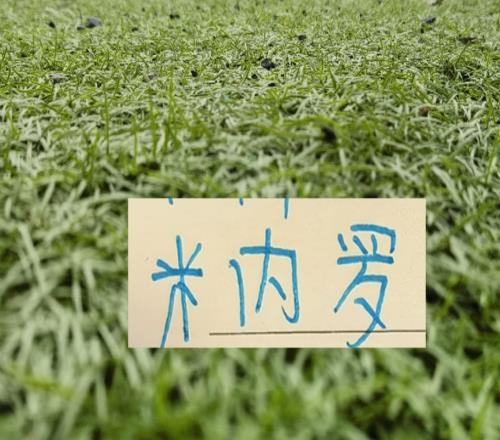 马纳法五月比赛报销!