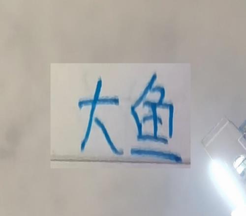 沒想到！申花第一場熱身兩條大魚都沒有進球前年本土標王還傷了