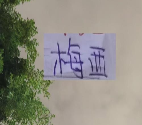 申花2026第一場熱身被逼平！梅西妻子曬泳裝真不把粉絲當(dāng)外人