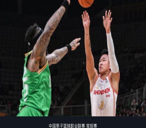 深圳8783險勝遼寧，賀希寧32+8，趙繼偉6分4板6助