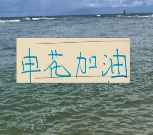 看點拉滿！申花兩條大魚上岸后，他們目前是中超身價第一球隊