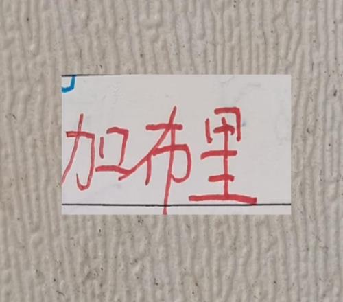 中超優質進貨商！北京國安進貨發飆拿到金靴海港的加布拿到冠軍