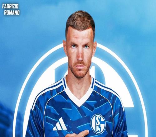 Herewego！羅馬諾：沙爾克就簽下39歲前鋒哲科達(dá)成協(xié)議