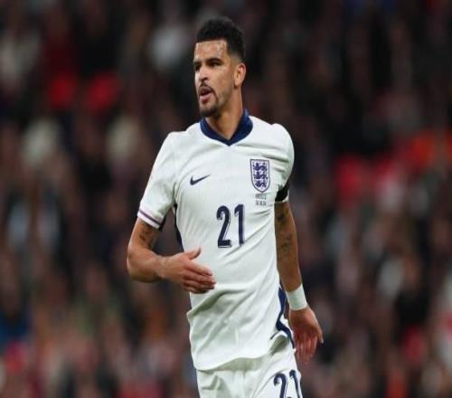 索蘭克：世界杯是每個球員的夢想，我會為了這個目標全力以赴