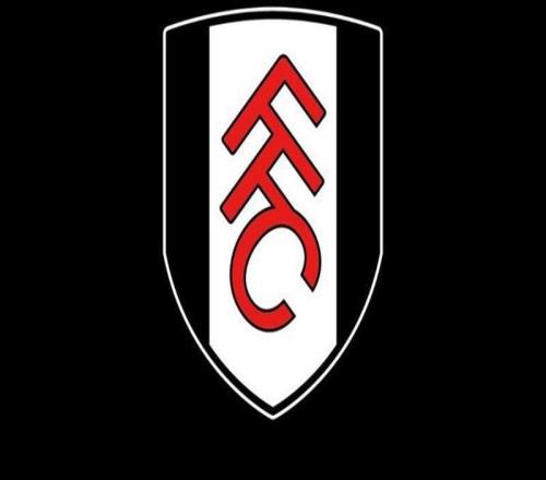 英國警方：一男子因在網上種族歧視富勒姆前鋒穆尼斯被判刑