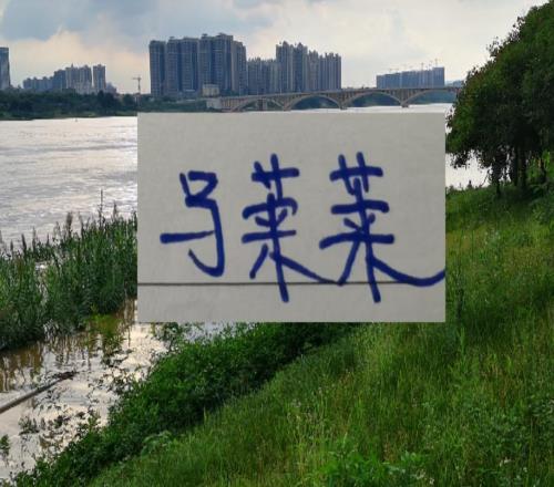 去年是申花馬萊萊今年有可能是意甲的中場(chǎng)大連英博專找冠軍核心