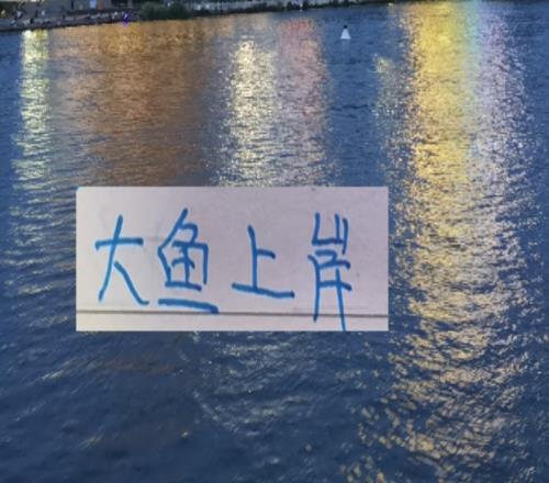 后面中超大魚！北京國安可能有德甲中后衛大連英博有意甲中場