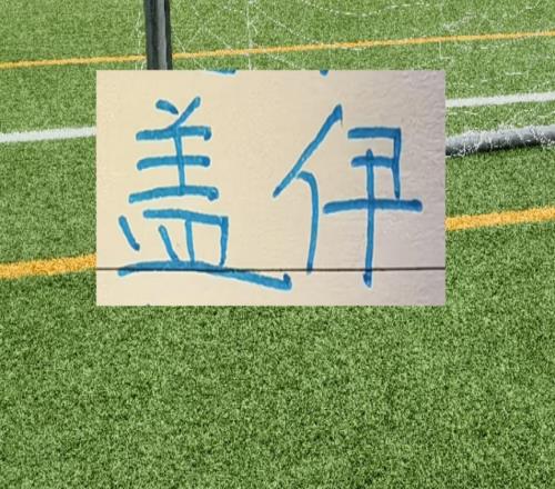 1米95的蓋伊?xí)耨R萊萊一樣面對中超后衛(wèi)都是降維打擊嗎