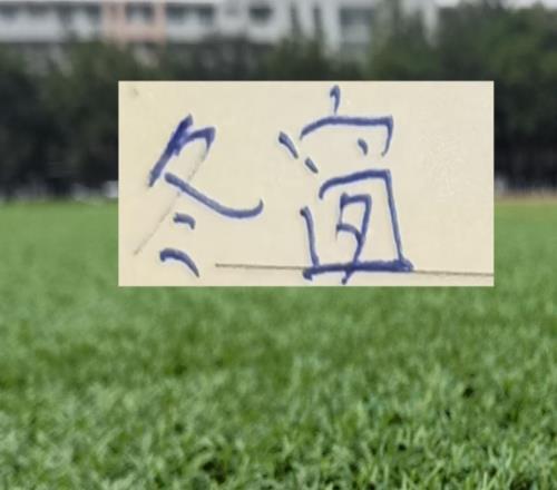 北京國安海港成都蓉城都有泰山足球?qū)W校培養(yǎng)出球員