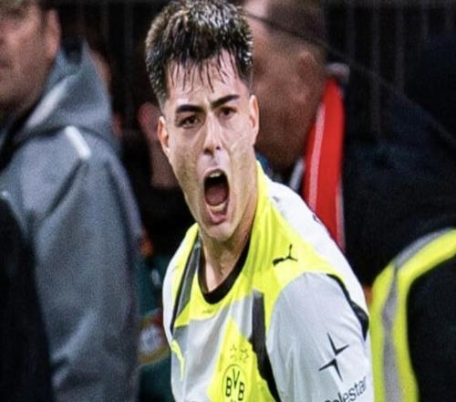 圖片報：多特不打算立刻引援，他們對切爾西的召回決定很憤怒