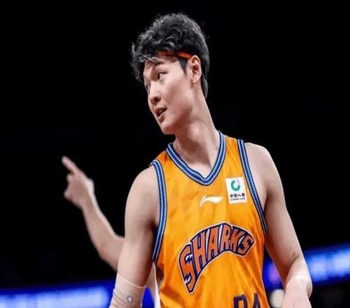 盧偉看明白了嗎三內(nèi)線每場(chǎng)都能統(tǒng)治局勢(shì)，主打內(nèi)線就對(duì)了！