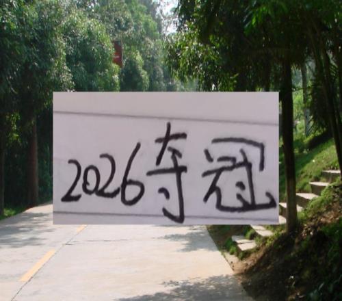 目標有變！海港5申花10挖了成都雙子星深圳新鵬能目標冠軍嗎