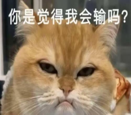 跟經(jīng)理對噴了爆料人談Bin疑似離隊：好像很僵硬不是領(lǐng)隊教練選手