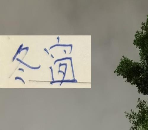 今年中超算是回光！居然有德甲+意甲球員加盟聯(lián)賽