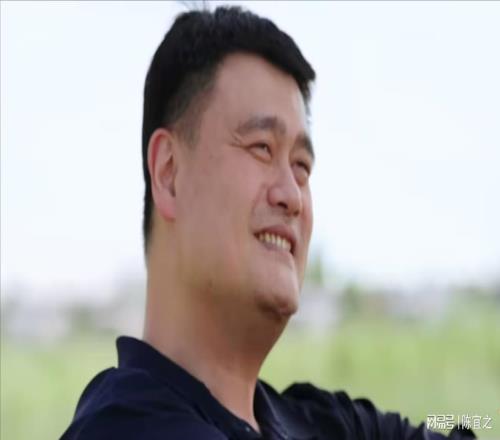 再次被姚明圈粉：從籃球中窺見人世與蒼穹