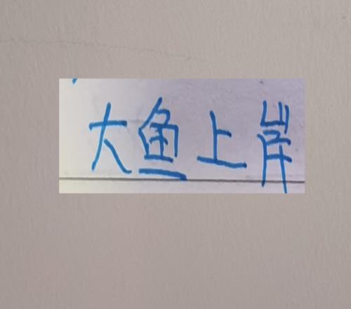 還以為上海雙雄外援身價(jià)是最高的，沒想到升班馬比他們還猛