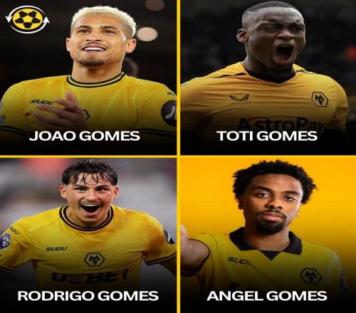 解說(shuō)員噩夢(mèng)，簽下安熱爾戈梅斯后狼隊(duì)已有4名叫Gomes的球員