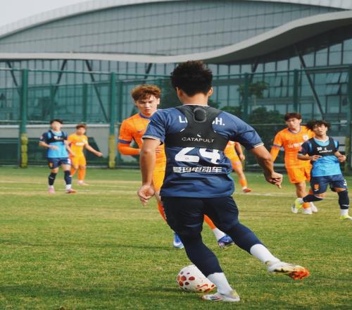 高級(jí)貨！魯能小妖來重慶海港鐵衛(wèi)加盟蓉城牛洪利薅完小牛薅韓東