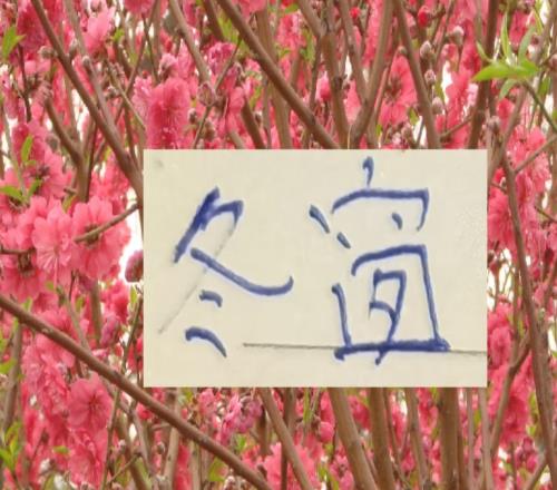 地主家也缺糧！去年中超前3海港+申花蓉城都出現(xiàn)中衛(wèi)難題