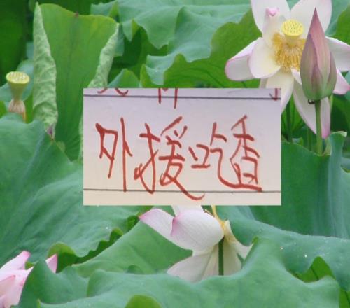 深圳有周定洋大連有馬萊萊+斯坦丘誰(shuí)能沖擊前5