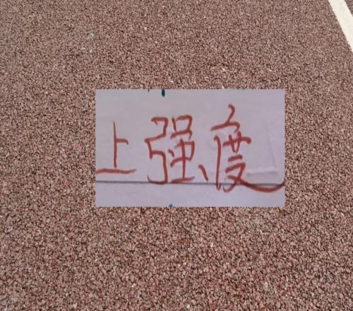 中超三隊打亞冠都有自己難處海港傷病多申花中衛(wèi)荒成都缺腰